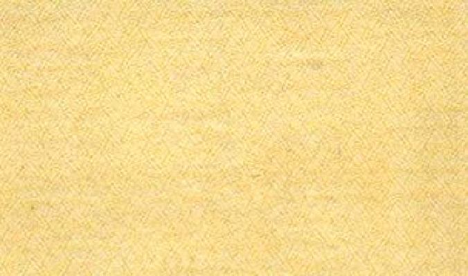 100 рублей 1921 г. (РСФСР).