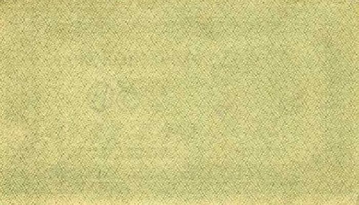 250 рублей 1921 г. (РСФСР).