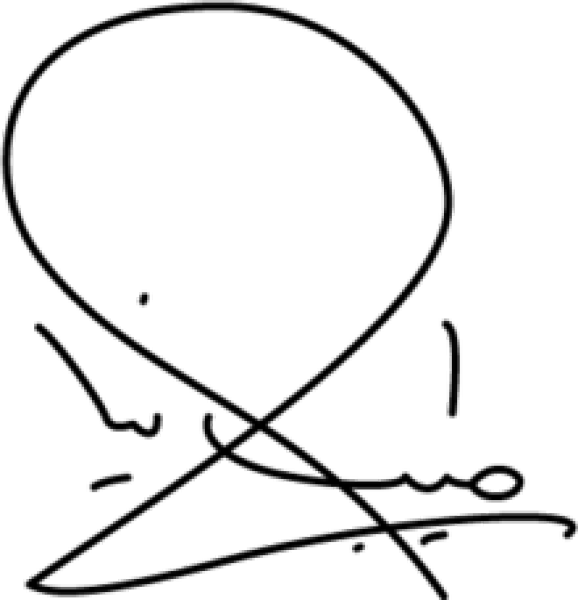 signature Ali Tayebnia