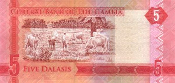 5 даласи реверс