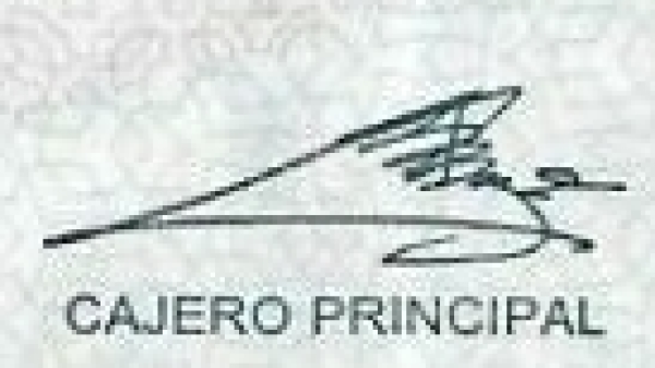 Alejandro Alegre Rabiela