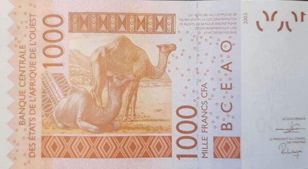 Benin 1000 francs 2019